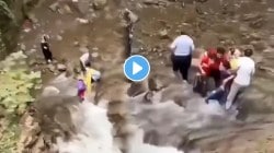 बहिणीचं धैर्य ! धबधब्यात अडकलेल्या भावाला सुखरूप काढल बाहेर, VIDEO होतोय व्हायरल