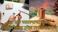 किचनमधील ‘हा’ एक मसाला ब्लड शुगर ठेवेल नियंत्रणात, फक्त एक चिमूट ठरते फायदेशीर… वाचा आयुर्वेद काय सांगते?
