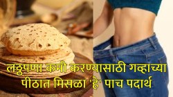 लठ्ठपणा कमी करायचाय आणि वजनही नियंत्रणात ठेवायचंय? मग गव्हाच्या पीठात मिसळा ‘हे’ पदार्थ… वेटलॉसमध्ये ठरतील फायदेशीर