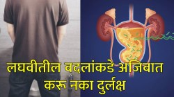 लघवीला तीव्र दुर्गंधी येत आहे का? तर ‘या’ लक्षणांकडे अजिबात करू नका दुर्लक्ष… ‘या’ गंभीर आजारांचं असू शकतं लक्षण