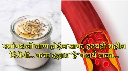 नसांमध्ये साचलेली घाण त्वरित होईल साफ, दह्यात टाका फक्त ‘हे’ तीन पदार्थ… हाय कोलेस्ट्रॉलपासूनही त्वरित मिळेल आराम, हृदयही राहील ठणठणीत