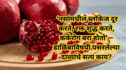 ‘नसांमधील ब्लॉकेज दूर करते, रक्त शुद्ध करते, कर्करोग बरा होतो’—डाळिंबाविषयी पसरलेल्या दाव्यांचे विज्ञान काय सांगते?