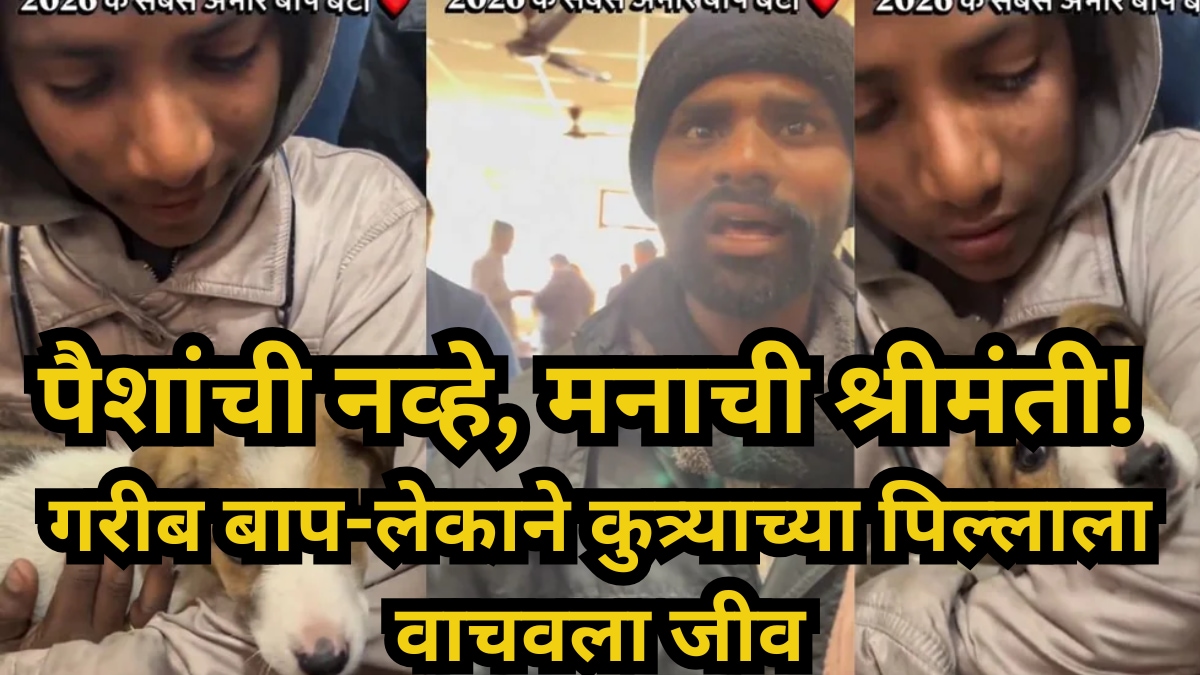 Poor father and mother save puppy's life