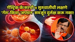Sanjay Raut Diagnosed with Stomach Cancer: संजय राऊतांना पोटाचा कॅन्सर; भारतात गॅस्ट्रिक कॅन्सरचा धोका का वाढतोय? कारणे, लक्षणे आणि उपाय काय?