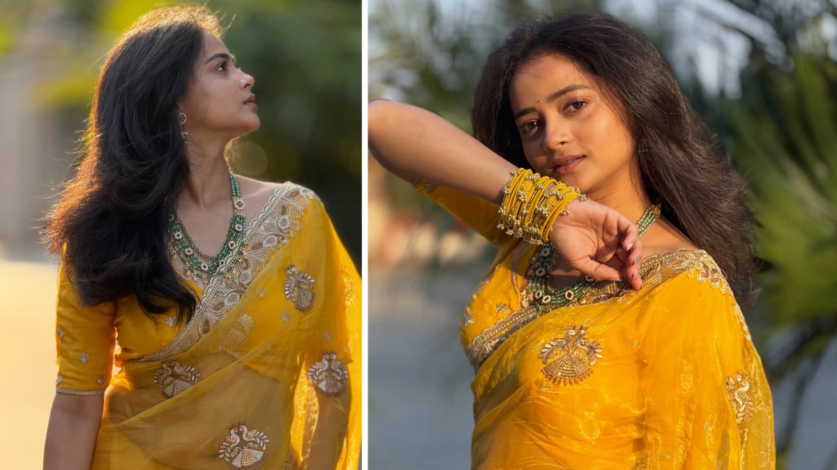 Shivali Parab Yellow Net Saree Look