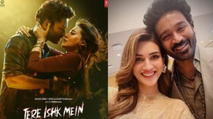 Tere Ishk Mein OTT Release Update