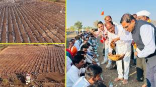53 rows, 101 tractors and three thousand volunteers on 40 acres; Two lakh devotees took Mahaprasad