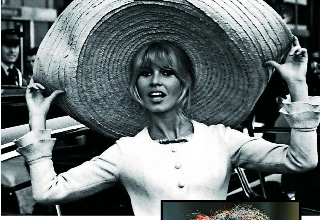 brigitte bardot animal rights activist welfare life story french actress god created woman movie impact chaturanga