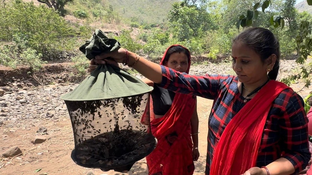 Honey production Maharashtra, Honey village scheme, Beekeeping training Amravati, Tribal women empowerment, Melghat honey tourism, Sustainable rural livelihood, Honey processing center, Beekeeping methods India, Maharashtra rural development, Honey market Amzari,