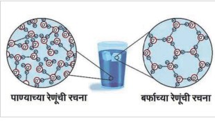 Science Behind Floating Ice Anomalous Expansion Water Marathi Vidnyan Parishad Physics Density Aquatic Life loksatta kutuhal