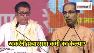 ठाकरे बंधूंनी आपल्या प्रचारसभा कमी का केल्या? कारण काय? माजी मंत्र्याने काय सांगितलं? (छायाचित्र लोकसत्ता ग्राफिक्स टीम)