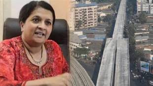 Social activist Anjali Damania warns: New flyovers invitation to accidents