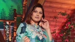 “घर चालवण्यासाठी सी ग्रेड सिनेमेही केले…”; बॉलीवूड अभिनेत्री ‘ती’ खंत वक्तव्य करत म्हणाली, “खूप वाईट…”