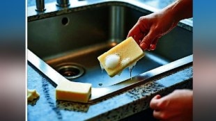 Loksatta kutuhla How does soap work