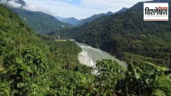 जैवविविधतेच्या ऱ्हासातही काही प्रजातींचे धक्कादायक पुनरुज्जीवन! हा चमत्कार कसा साधला?