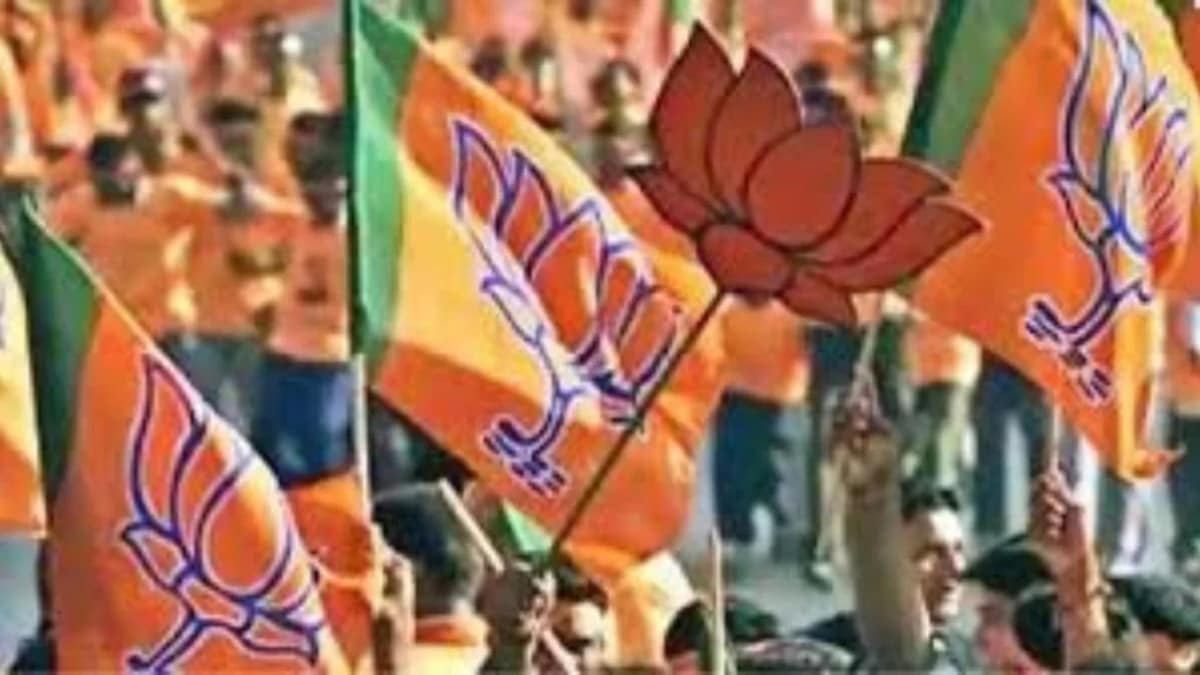 BJP virtual leadership, Modi global image, India world leader claim, India domestic politics BJP, BJP international diplomacy, Modi leadership controversies, India foreign relations challenges, BJP political image building, Indian politics and foreign policy, Modi government reputation,