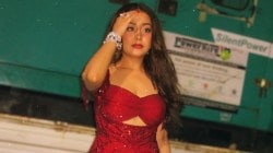 “माझ्या नवऱ्याला आणि कुटुंबाला…”, नेहा कक्करची नवी पोस्ट चर्चेत; म्हणाली, “माझा राग…”