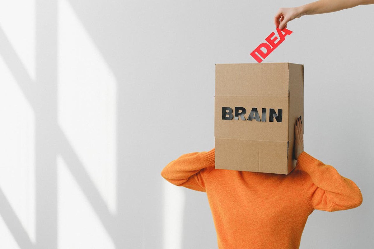 This 5 Habits Will Change Your Brain System To Work Fast Rnb 99 ...
