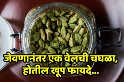तोंडाची दुर्गंधी ते पचन… जेवणानंतर फक्त ‘हा’ एक पदार्थ चघळा, मिळतील आश्चर्यकारक फायदे