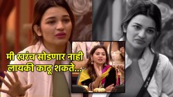 BB Marathi : “डान्समध्ये तिच्यापेक्षा जास्त माझं नाव…”, राधा पाटील दिपाली सय्यदवर संतापली! ‘या’ सदस्यासमोर झाली भावुक…