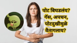 पोट बिघडलंय? गॅस, अपचन, पोटदुखीमुळे वैतागलाय? हे पदार्थ खाल्यास पचन सुधारेल, बुद्धी होईल तल्लख, तज्ज्ञ काय सांगतात