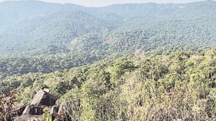 Reserved forest land near Sanjay Gandhi National Park opened for private ownership dispute