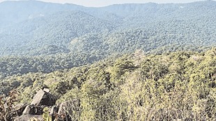 Thane forest land controversy, Sanjay Gandhi National Park land transfer, Maharashtra forest land dispute, Chandrashekhar Bavankule suspension,