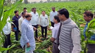 Jalgaon crop damage, Gulabrao Patil, hailstorm Jalgaon 2026, banana crop loss Jalgaon