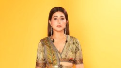 कोट्यवधींच्या संपत्तीची मालकीण आहे हिना खान, एका एपिसोडसाठी घेते ‘इतकं’ मानधन; एकूण नेटवर्थ माहितीये का? घ्या जाणून…