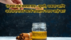 सुस्ती गायब, ऊर्जा दुप्पट! रिकाम्या पोटी कोमट पाण्यात मिसळून घ्या एक चमचा मध, आयुर्वेद, सद्गुरू आणि विज्ञान काय