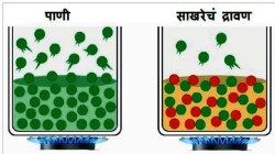 कुतूहल: चहामध्ये साखर कधी घालाल?