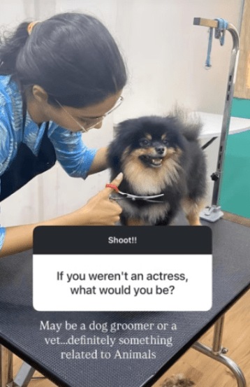 vallari viraj education 