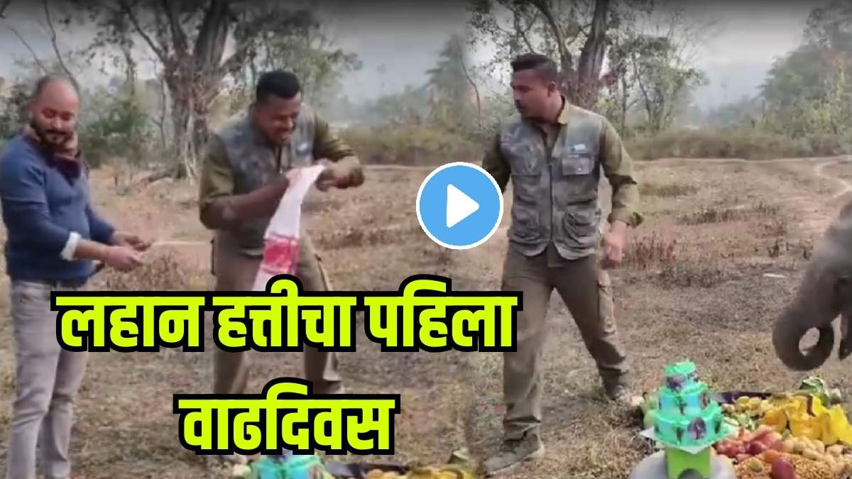 Baby Elephant Momo steals hearts on her special day