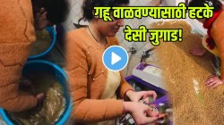 वॉशिंग मशीनमध्ये गहू वाळवण्याचा भन्नाट देसी जुगाड होतोय व्हायरल; VIDEO पाहून काही हसले, तर काहींनी डोक्याला लावला हात