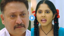 Video: “तुमची मुलगी…”, कमळी राजनला सांगणार ‘ते’ सत्य; कामिनीचे कारस्थान तिच्यावरच भारी पडणार का? मालिकेत ट्विस्ट