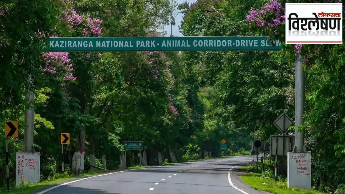 The Kaziranga National Park