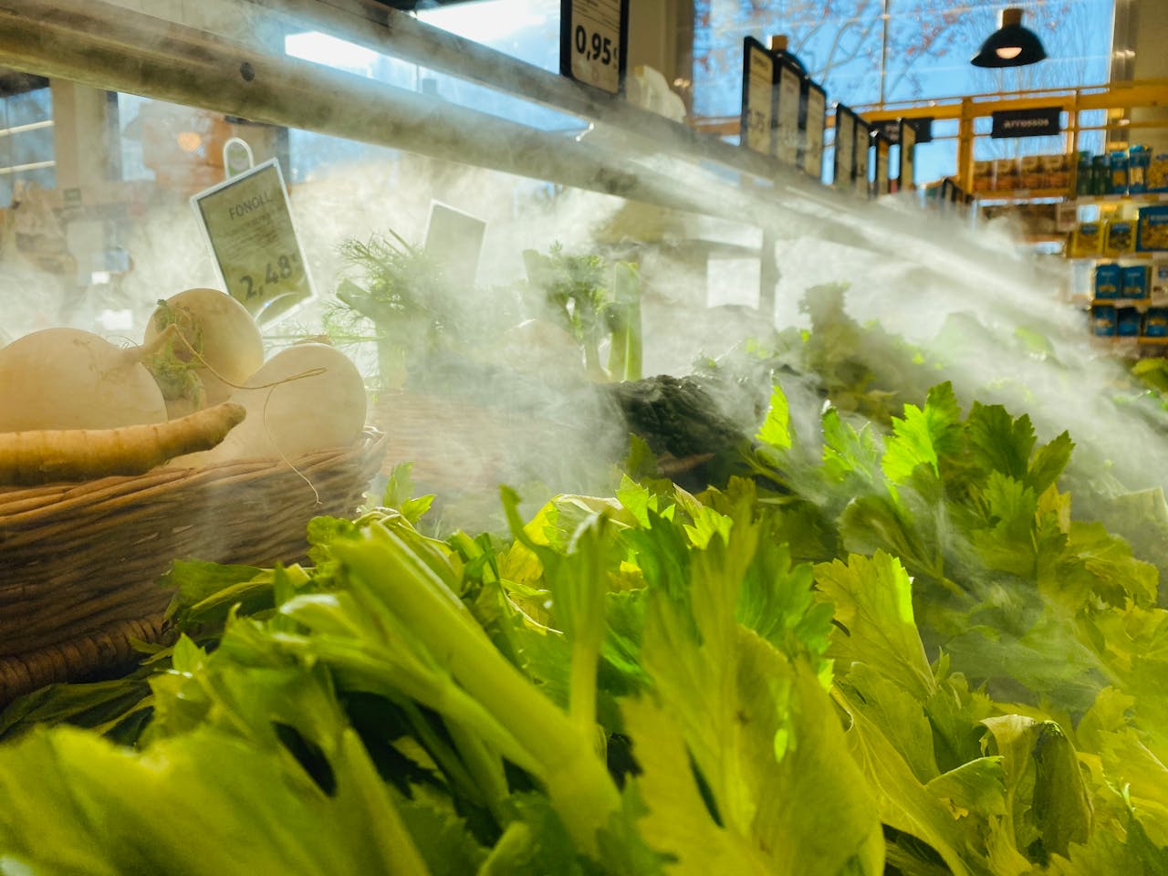 stoar coriander for long