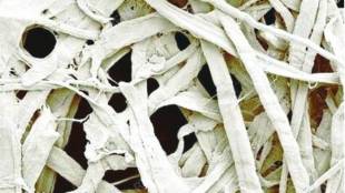 Science Behind Absorbent Paper