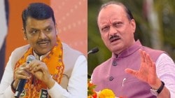 Devendra Fadnavis : देवेंद्र फडणवीसांची आपल्याच उपमुख्यमंत्र्यांवर टीका; गुन्हेगारांना तिकिटं देण्यावरून अजित पवारांना म्हणाले…