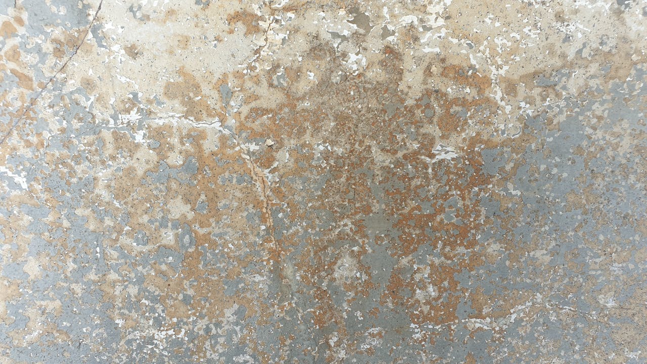 remove moisture from wall