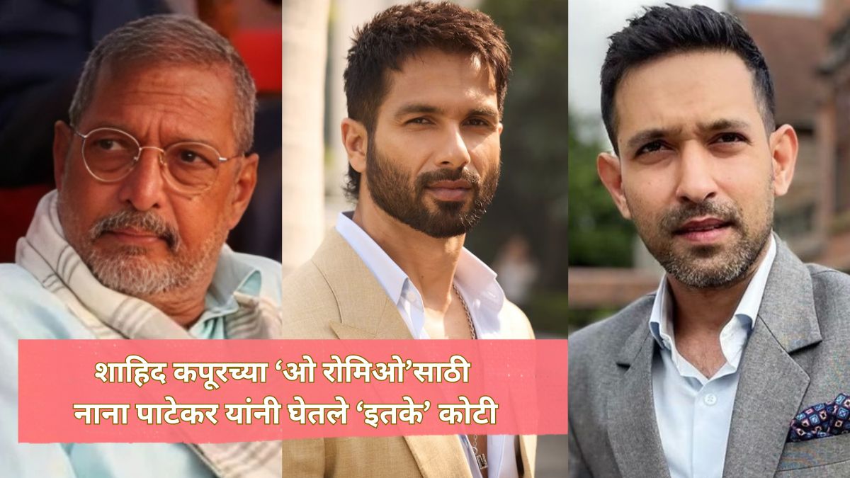 nana patekar shahid kapoor vikrant massey tripti dimri tamannaah bhatia disha patni farida jalal o romeo fees