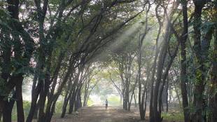 Environmental concerns dominated Nashik municipal polls with multiple parties pledging protection of Tapovan trees.