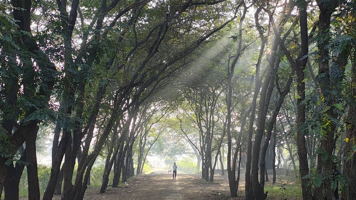 Tapovan is missing from the 'expectations' of Nashik residents