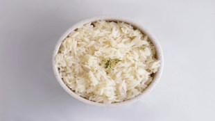rice cooking process, rice grain permeability, how rice absorbs water, cooked rice composition, rice science project, water absorption in rice, rice cooking temperature, rice grain structure,