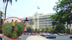 Maharashtra FPO policy: शेतकरी उत्पादक संस्थांचा कारभार ढेपाळला; सविस्तर वाचा, राज्य सरकारच्या नव्या धोरणात काय