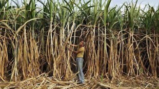 two villages seven km apart a tale of contrasting prosperity in Solapur