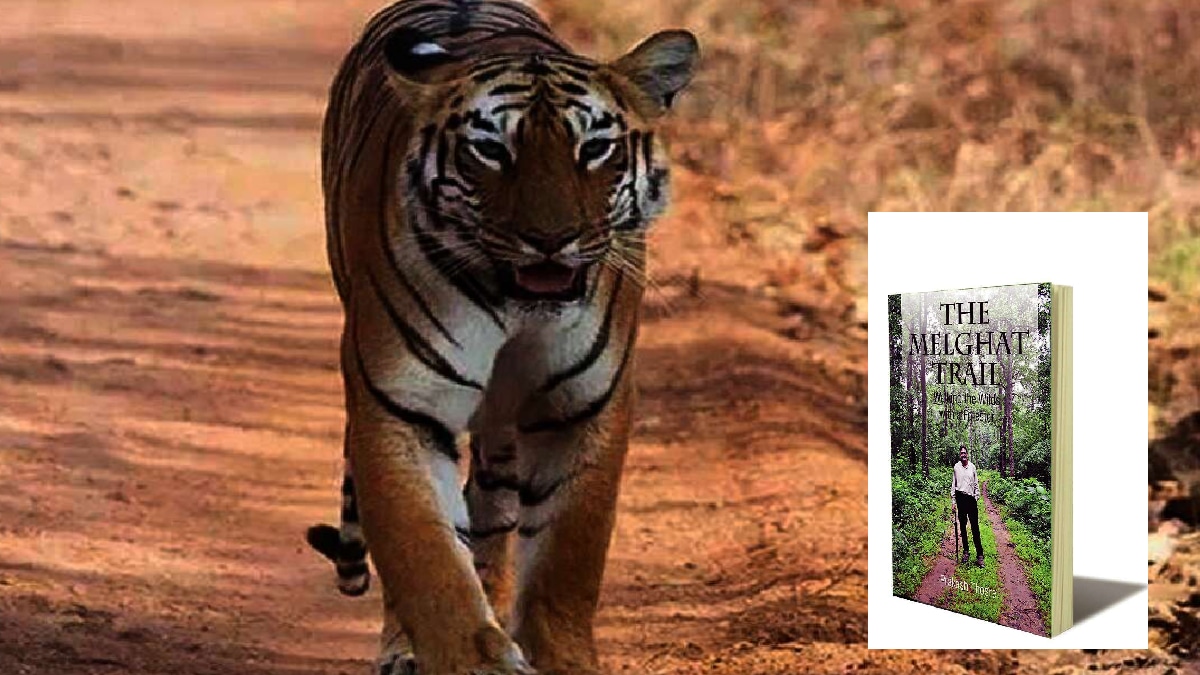 melghat forest journey through book the melghat trail
