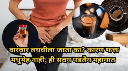 वारंवार लघवीला जाता का? कारण फक्त मधुमेह नाही; ही सवय पडते महागात!
