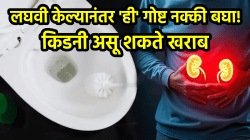 लघवी केल्यानंतर ‘ही’ गोष्ट नक्की बघा! किडनी असू शकते खराब, दुर्लक्ष करणं पडेल महागात…