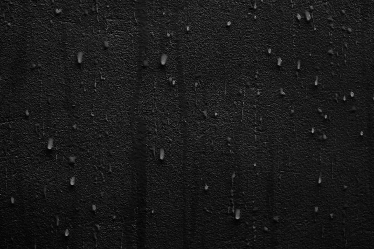 remove moisture from wall